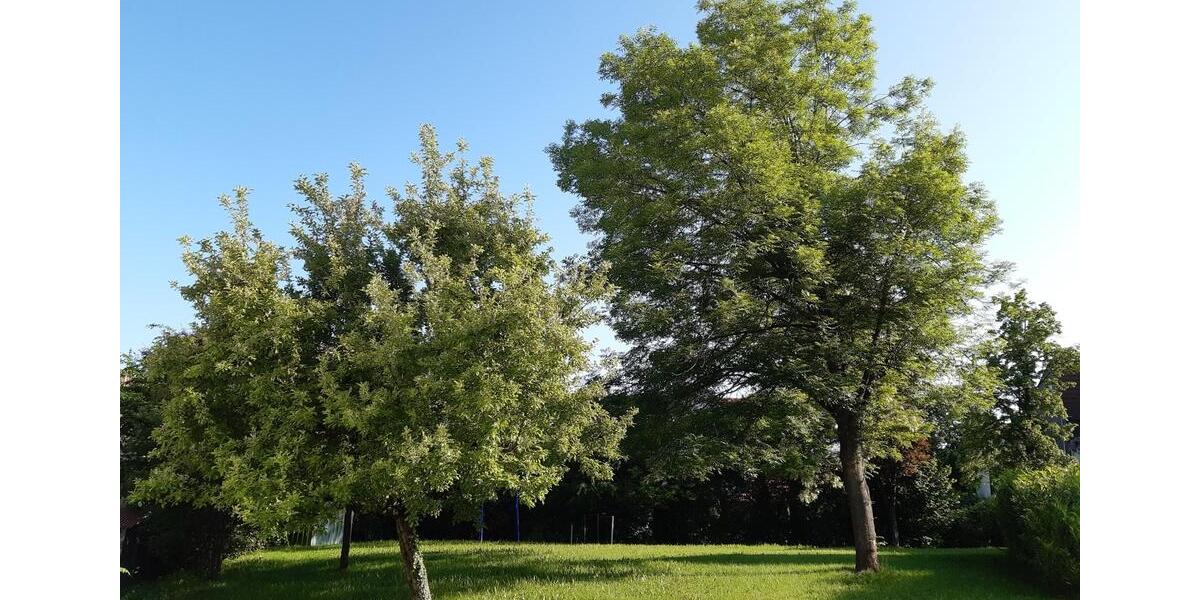 Maisonettenwohnung Bad Boll - 3.5 Zimmer, 125 m&sup2;, 330.000&euro; | Angebot:23166690