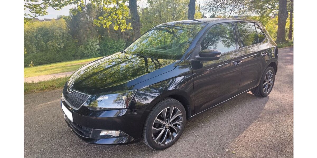 Skoda Fabia 113.870 km 7.300 &euro; Althütte 71566