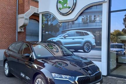 Skoda Octavia 12.500 km 32.490 &euro; Göppingen 73033