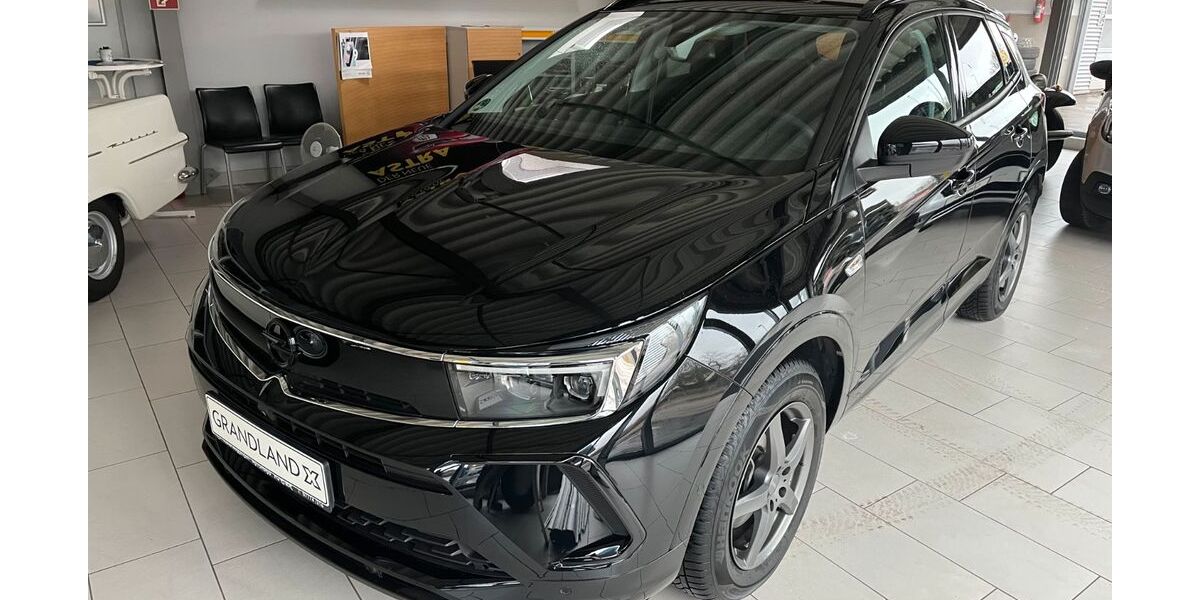 Opel Grandland (X) 9.900 km 26.590 &euro; Mögglingen 73563