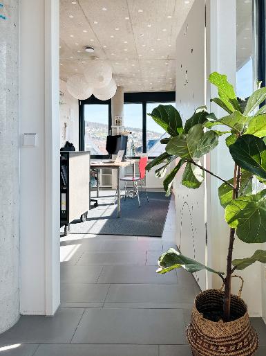 Gewerbeobjekt Reichenbach an der Fils - 350&euro; | Angebot:25968811