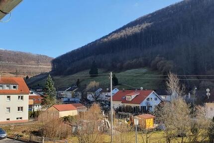 Wohnung Wiesensteig - 3 Zimmer, 80 m&sup2;, 890&euro; | Angebot:25858012