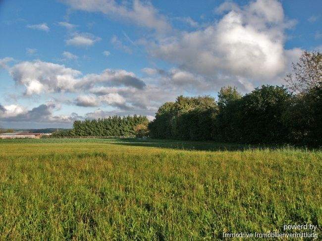 Einfamilienhaus Westerheim - 4 Zimmer, 107 m&sup2;, 280.000&euro; | Angebot:25735781