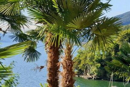 Wohnung Heiningen - 4 Zimmer, 140 m&sup2;, 699.900&euro; | Angebot:24351616