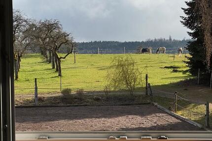 Wohnung Welzheim - 3.5 Zimmer, 90 m&sup2;, 890&euro; | Angebot:25992461