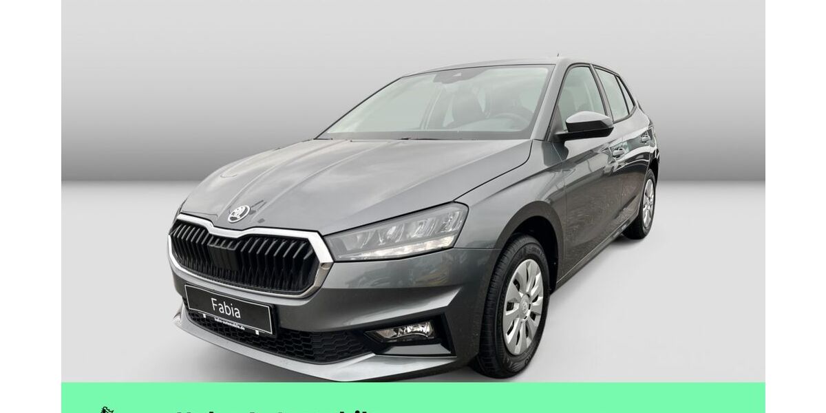 Skoda Fabia 1.111 km 20.980 &euro; Weinstadt-Endersbach 71384