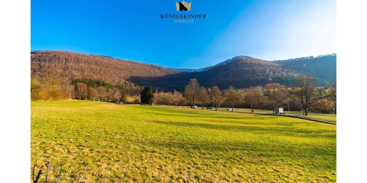 Mehrfamilienhaus, Wohnhaus Deggingen - 8 Zimmer, 260 m&sup2;, 849.000&euro; | Angebot:25733936