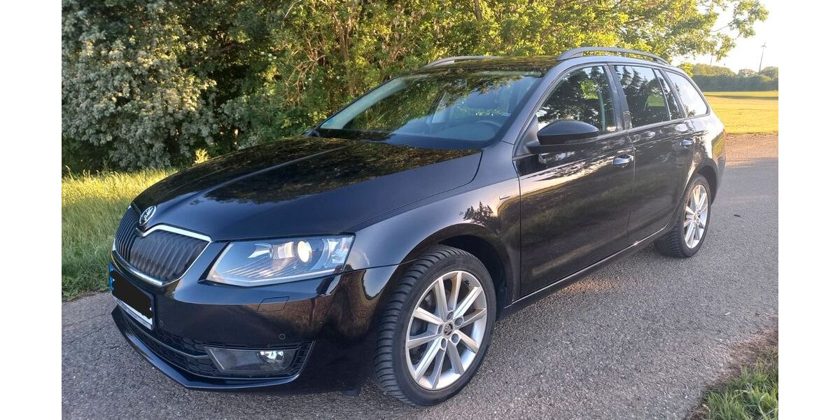 Skoda Octavia 209.600 km 8.800 &euro; Berghülen 89180