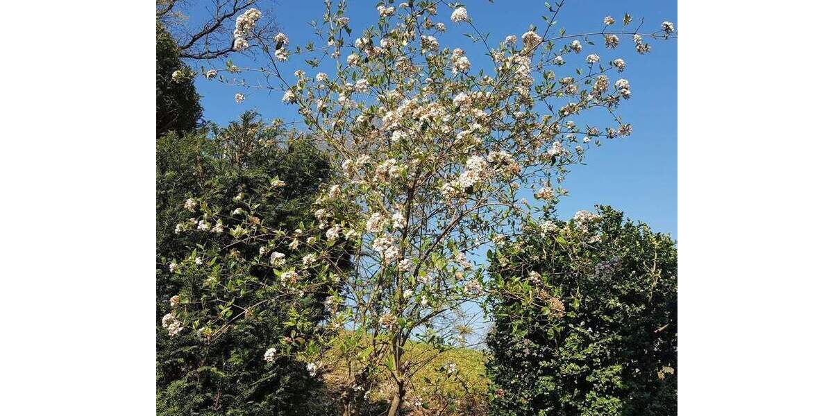 Mehrfamilienhaus, Wohnhaus Nürtingen Oberensingen - 1 Zimmer, 234 m&sup2;, 1.090.000&euro; | Angebot:25958506