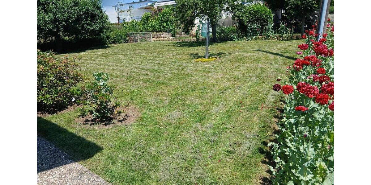 Etagenwohnung Frickenhausen - 3.5 Zimmer, 90 m&sup2;, 1.155&euro; | Angebot:24774631