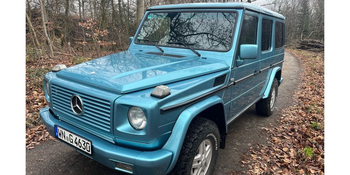 Mercedes-Benz G 230 285.000 km 29.900 &euro; Berglen 73663