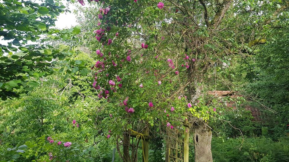 Bauernhaus, Landhaus Ohmden - 5 Zimmer, 120 m&sup2;, 290.000&euro; | Angebot:25612413