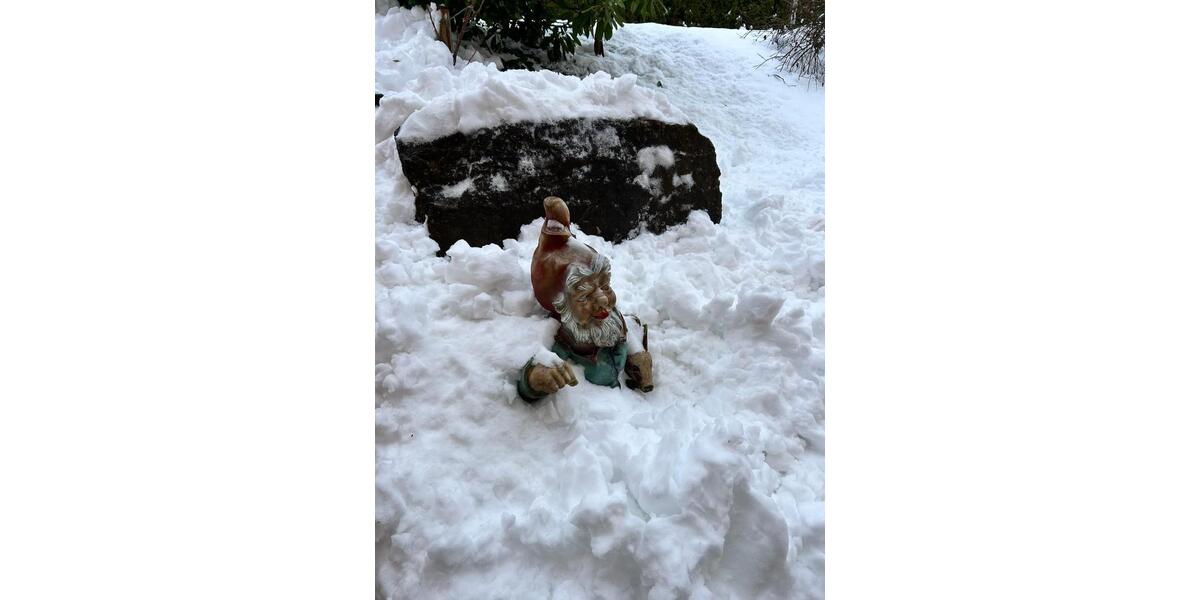 Terrassenwohnung Berghülen - 1 Zimmer, 20 m&sup2;, 35&euro; | Angebot:25407152