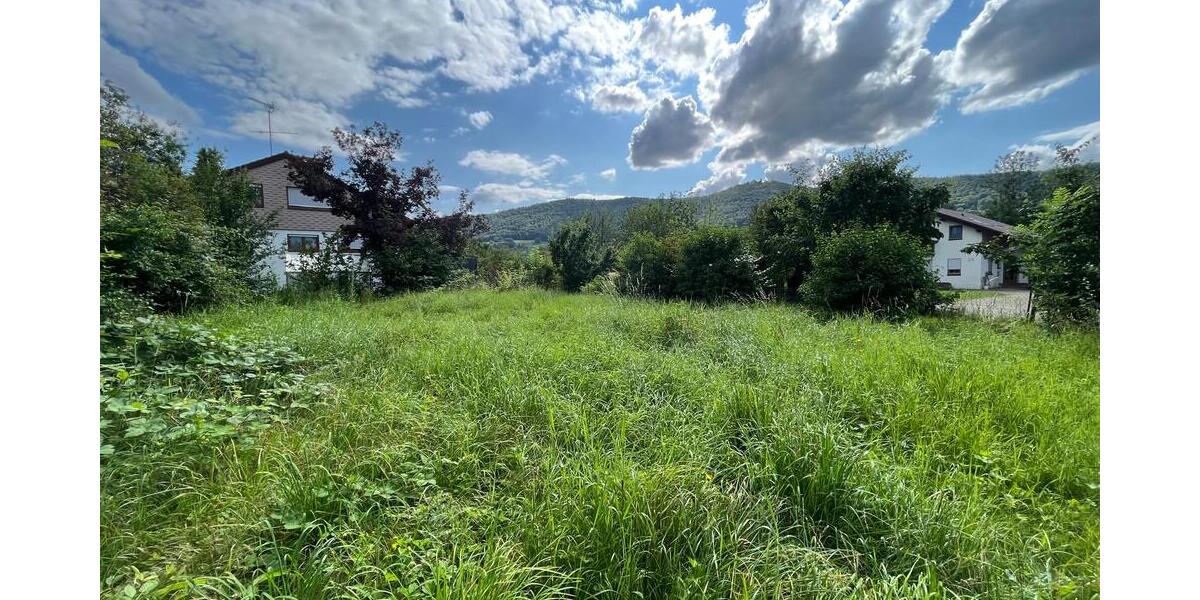 Grundstück Bissingen an der Teck Bissingen - 345.000&euro; | Angebot:25696488