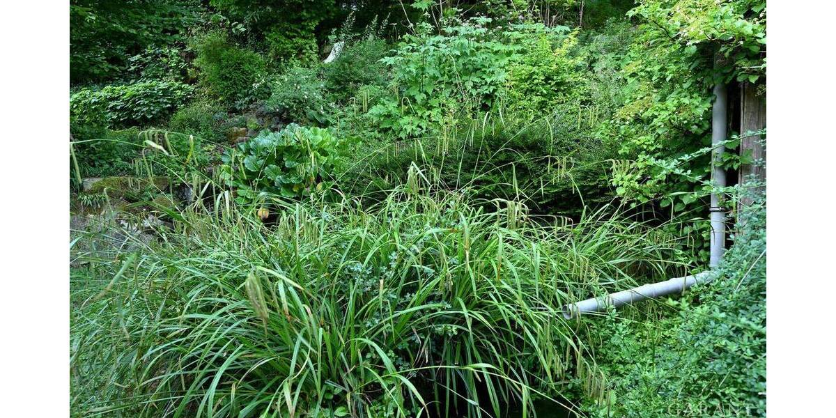 Einfamilienhaus Mühlhausen im Täle Mühlhausen - 4 Zimmer, 246 m&sup2;, 970.000&euro; | Angebot:25781206