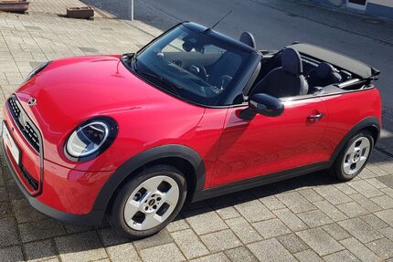 Mini Cooper Cabrio 4.900 km 33.900 &euro; Iggingen 73574