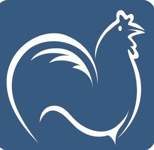 VW Tiguan 24.000 km 45.900 &euro; Essingen­­­ 73457